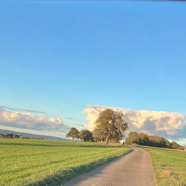Landhaus Ana-Vital, hotell sihtkohas Merzig