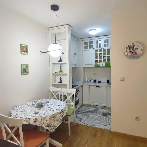 CITY POINT Apartment, hotel Podgoricában
