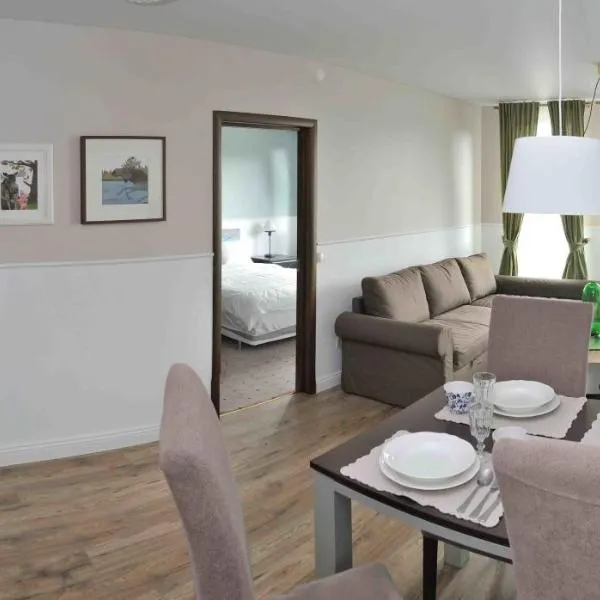 Dzuku apartment 11, hotel in Vilnius