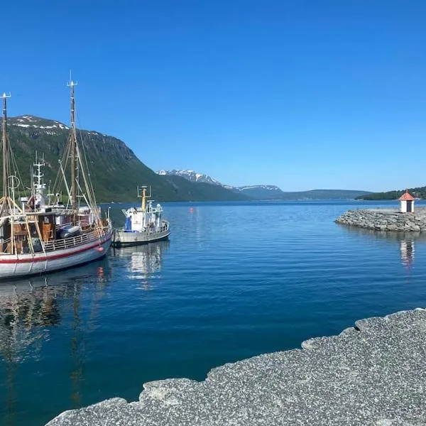 Malangen Arctic Sealodge Cabin 10、Meistervikのホテル