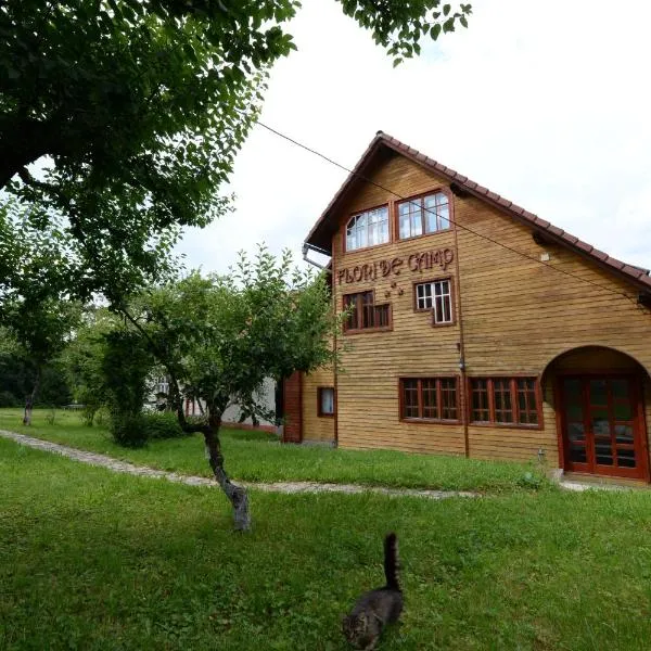 Pensiunea Flori de Camp, hotel in Vatra Dornei