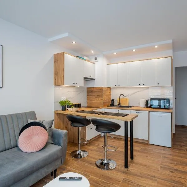 Vip Apartamenty Niecia z klimatyzacja, hotel in Rzeszów