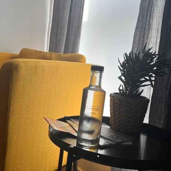 Central Studio,位于佩奇的酒店