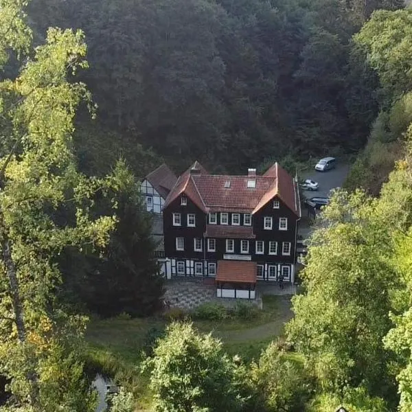 Waldhaus Wolfsbachmühle, ξενοδοχείο σε Hohegeiß