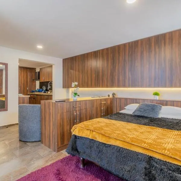 New York Loft en Centro Historico con Roof Garden，位于杜兰戈的酒店