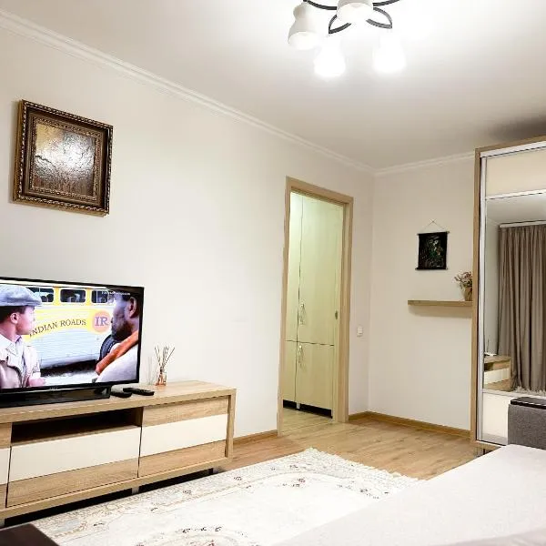 Top Central Apartment，位于基希讷乌的酒店