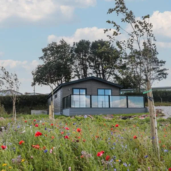 Primrose Lodge, hotel din Dartmouth