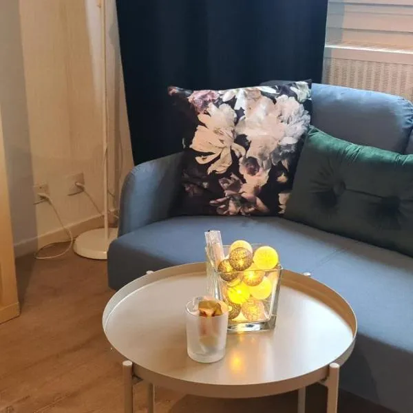 Studio KAAN avec terasse 5mn Basel Airport, hotel en Saint-Louis