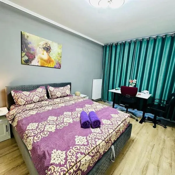 Zen Central Studio، فندق في بوخارست