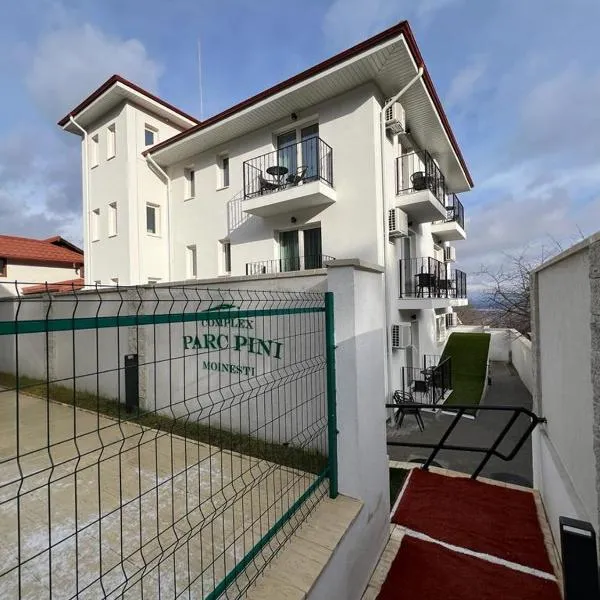 PARC PINI RESORT, hotel v destinaci Moineşti