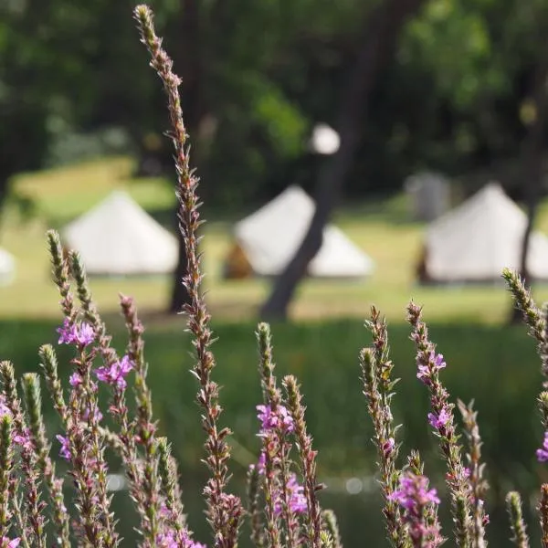 Iluka Retreat Glamping Village & Group Lodge Accommodation, hotel in Red Hill South