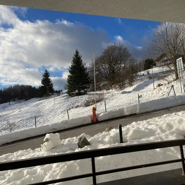 Útulný apartmán Triangel 50m od lyžiarského vleku Záhradky, Hotel in Donovaly