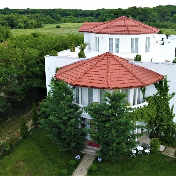 YOUness WELLness Clinic & Retreats, ξενοδοχείο σε Mereni