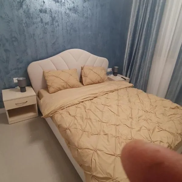 casa nedelcu, hotel in Craiova