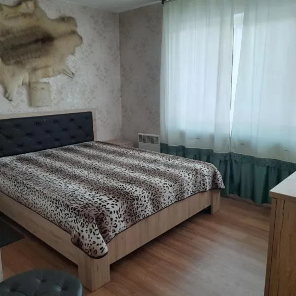 viesu māja "Osmany"、Dvarčiのホテル