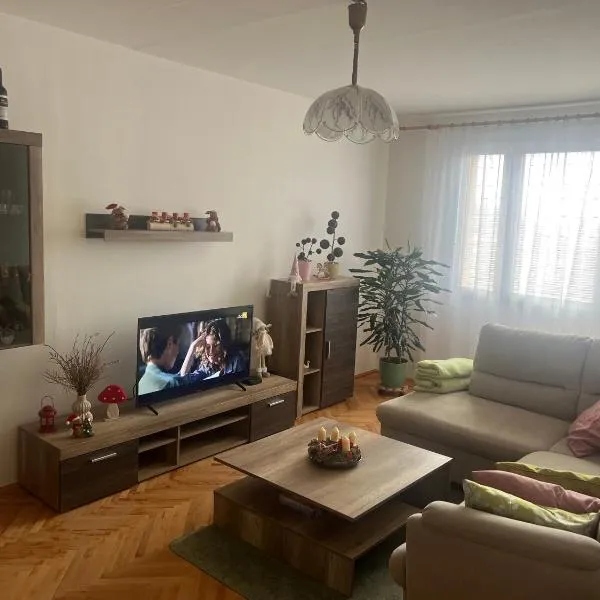 Rekreační byt 3+1、ジェレズナー・ルダのホテル