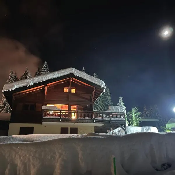 Chalet L'AS DE CARROZ, hotel in Arâches-la-Frasse