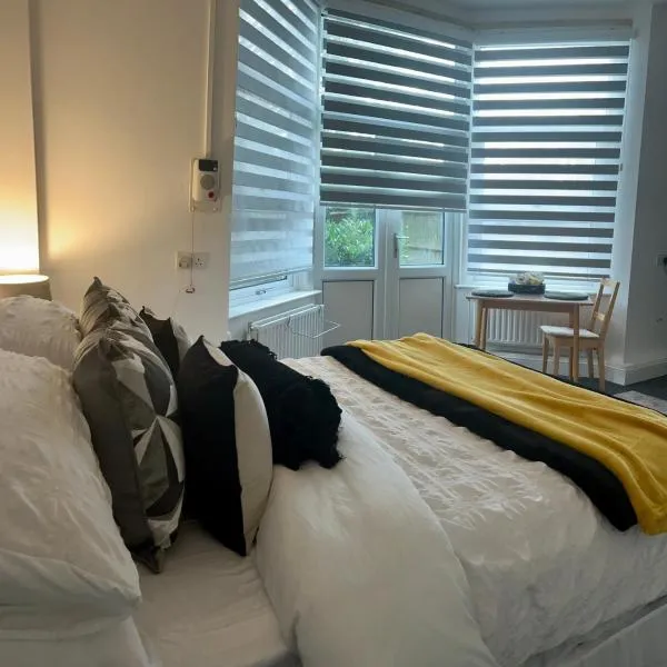 Streatham Studio, hotel in London