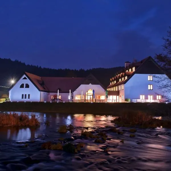 Hotel Vír, hotel ve Víru