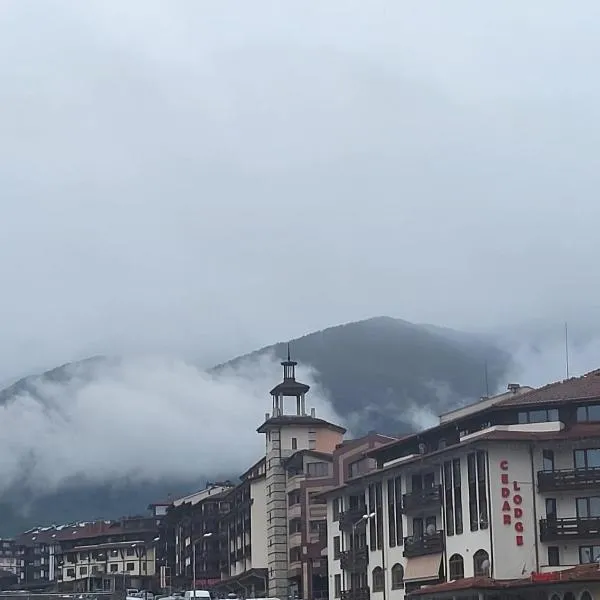 Studio in Cedar Lodge 3、バンスコのホテル