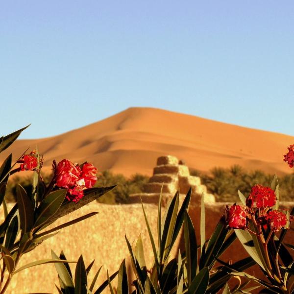 La Vallée des Dunes - Auberge, bivouacs et excursions