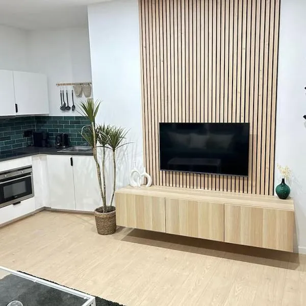 Magnifique duplex, hotel a Bruxelles