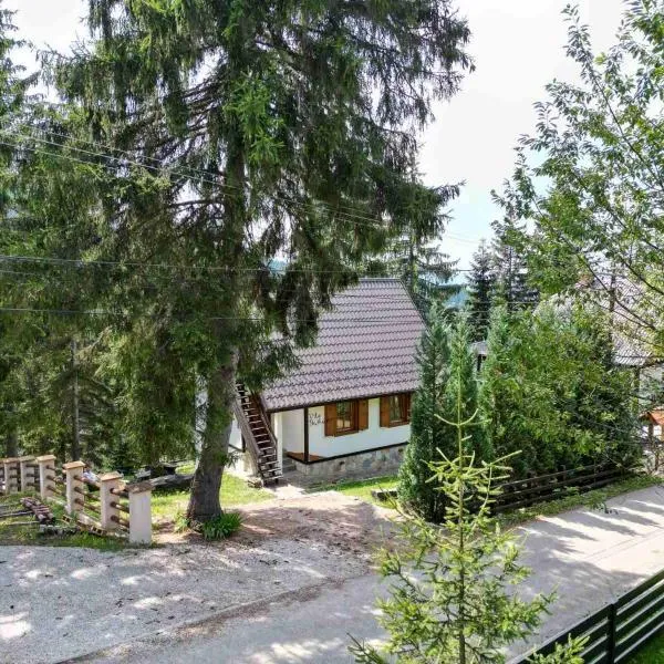 Vila Bajka，位于新瓦罗什的酒店