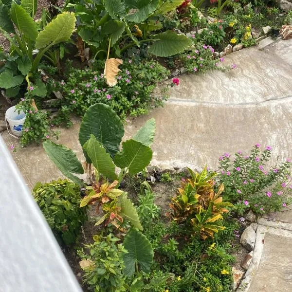 Cool Breeze Suites, hôtel à Ashton