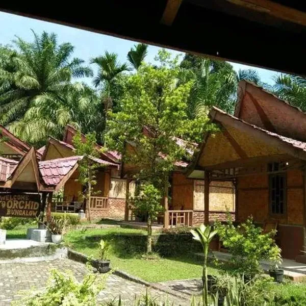 Orchid Bugalows., hotel in Timbanglawang