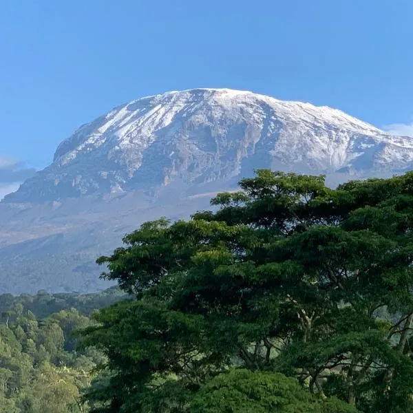 Shimbwe Meadows Home, hotel in Moshi