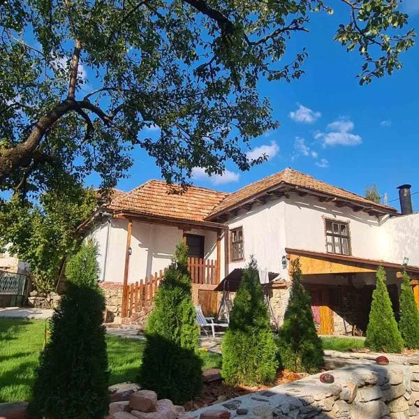 Vila Antić, hotel v destinaci Pirot