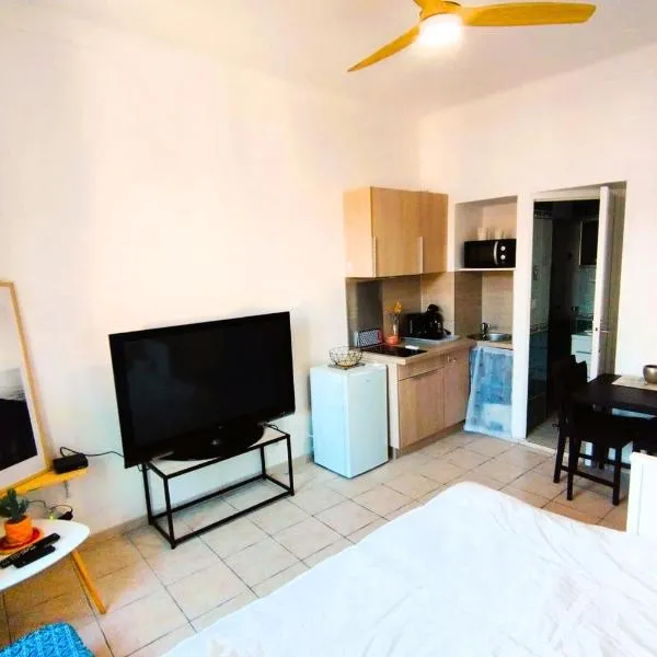 Charming Studio ideal for Congresses and Holidays LIVE IN GAZAGNAIRE, отель в Каннах