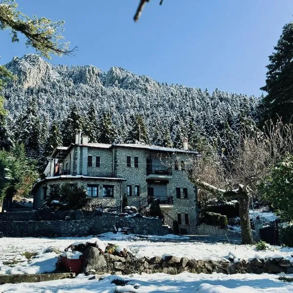 Hotel Katafigio, hotell i Elati