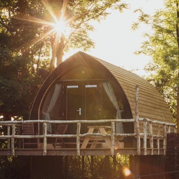 Boomhuis met optioneel wellness - Vakantiepark de Schreiershoek