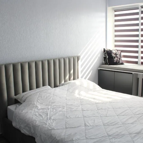 Ana's Apartment, hotel i Chișinău
