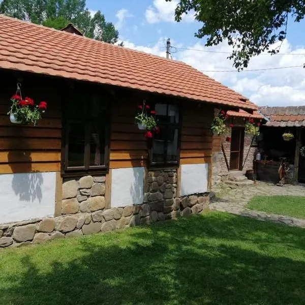 Etno kuca Nikolov, hotel in Dimitrovgrad