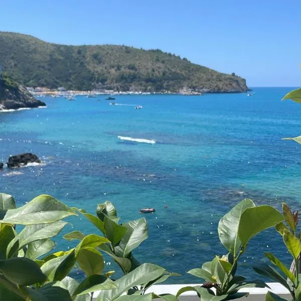 Hotel Ficocella, hotel v destinaci Palinuro
