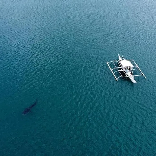 Dancalan Beach Resort, hotell sihtkohas Donsol