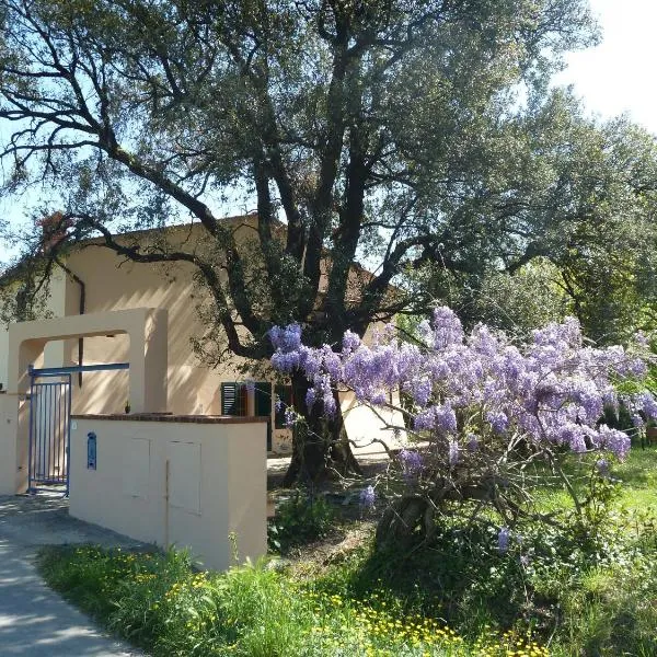 Al Vecchio Leccio, hotel in Pistoia