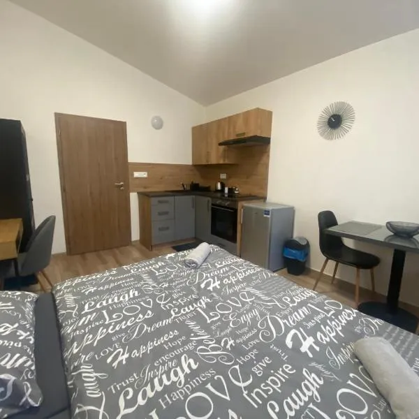 Černá Růže - Apartmán 7, ξενοδοχείο στο Πίλζεν