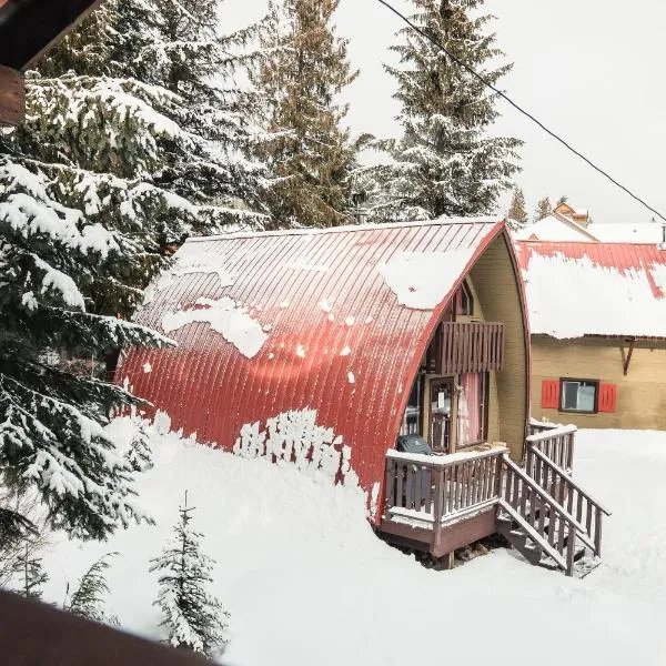 Cozy Cabin at RED - Steps to Skiing & Trails、ロスランドのホテル