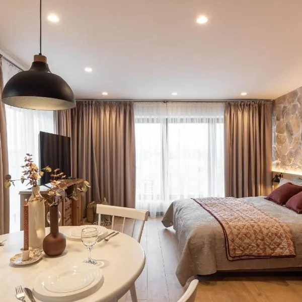 Center Old City VAIKOR，奇西瑙的飯店