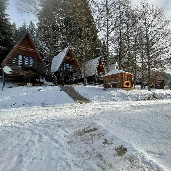 Viesnīca Karpatskyy pilsētā Rozluch