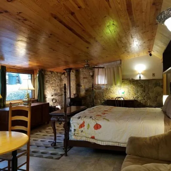 Castle Suite at White Lotus Eco Spa Retreat, hotel in Stanardsville