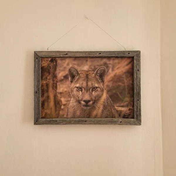 Hostel Tierra Patagónica, hotell sihtkohas Perito Moreno