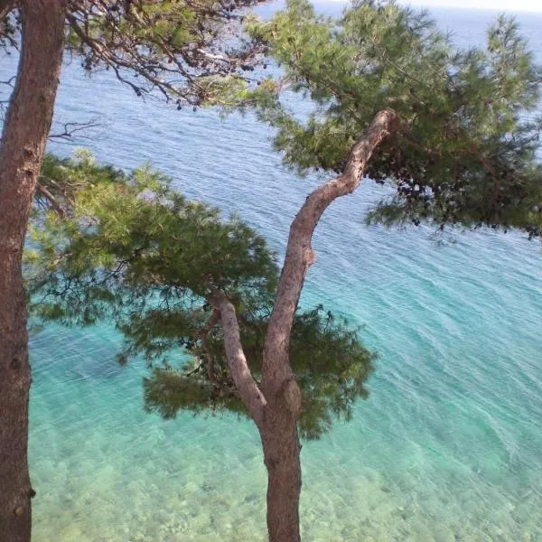 Apartments and rooms Nika, Hotel in Korčula