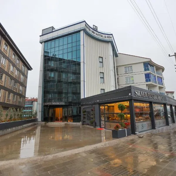 Silver Inn Spa, ξενοδοχείο σε Kasaplar