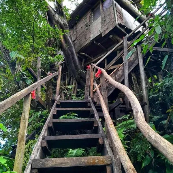 Castle Tree House And Bungalow, hotel in White Sands