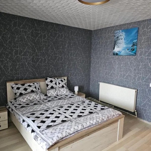 Garsoniera Dary strada Mihai Bravu bloc G1 Vis a Vis de ROYAL PALACE,位于Turnu Măgurele的酒店