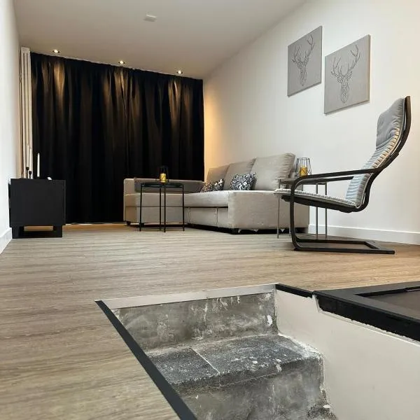 luxe pas gerenoveerd monumentaal appartement, hotel in Maastricht